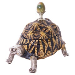 Caja tortuga vintage de Antony Redmile