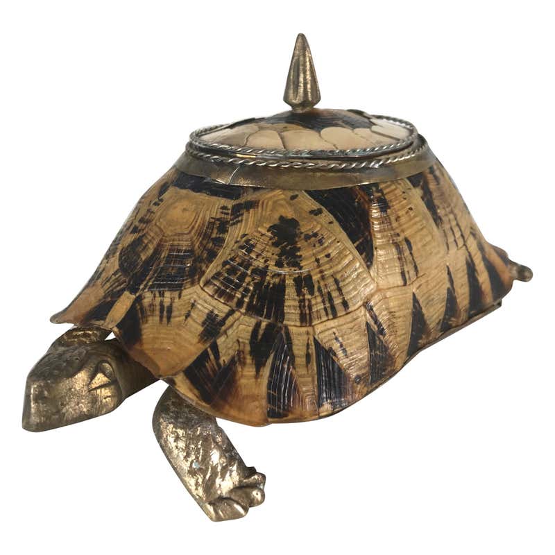 Vintage Turtle Shell Box at 1stDibs