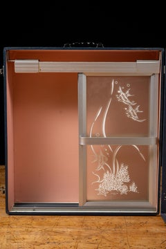 Vintage Twin-Dor Sliding Shower Door Salesman Sample Display Case