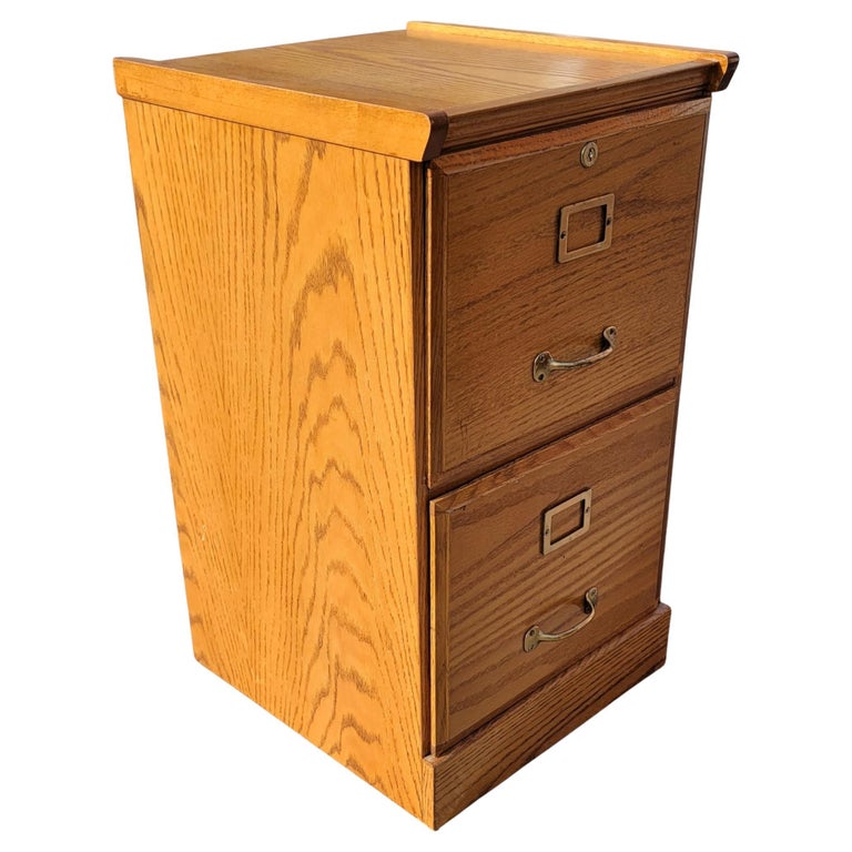 Vintage Two Drawer Oak Locking Filing For Sale at 1stDibs
