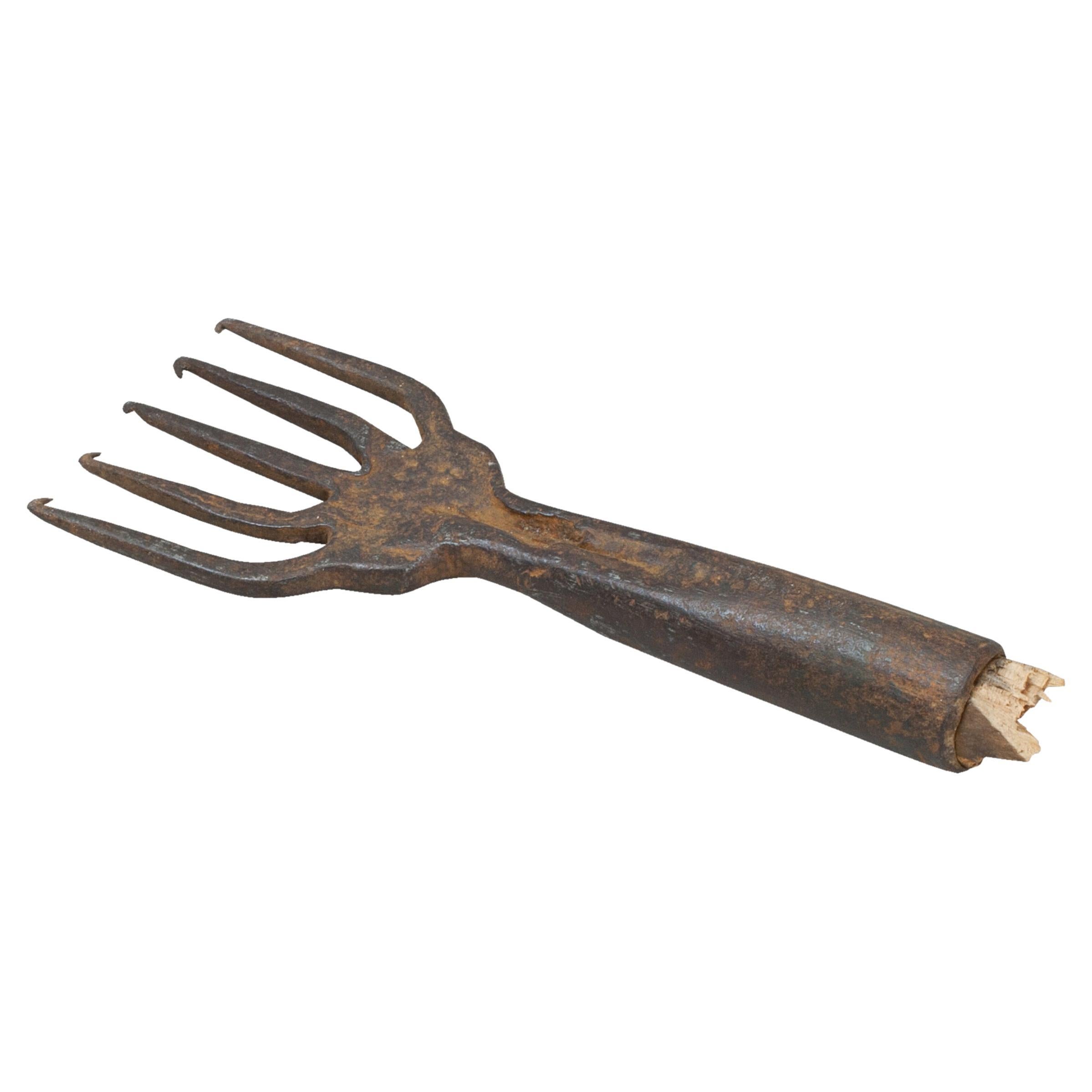 Vintage Unusual Small Fish Spear