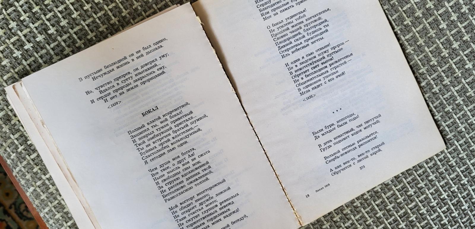 Libro vintage sull'URSS: 'Poeti dell'epoca di Pushkin' - Un viaggio letterario 1981, 1J62 in vendita 2