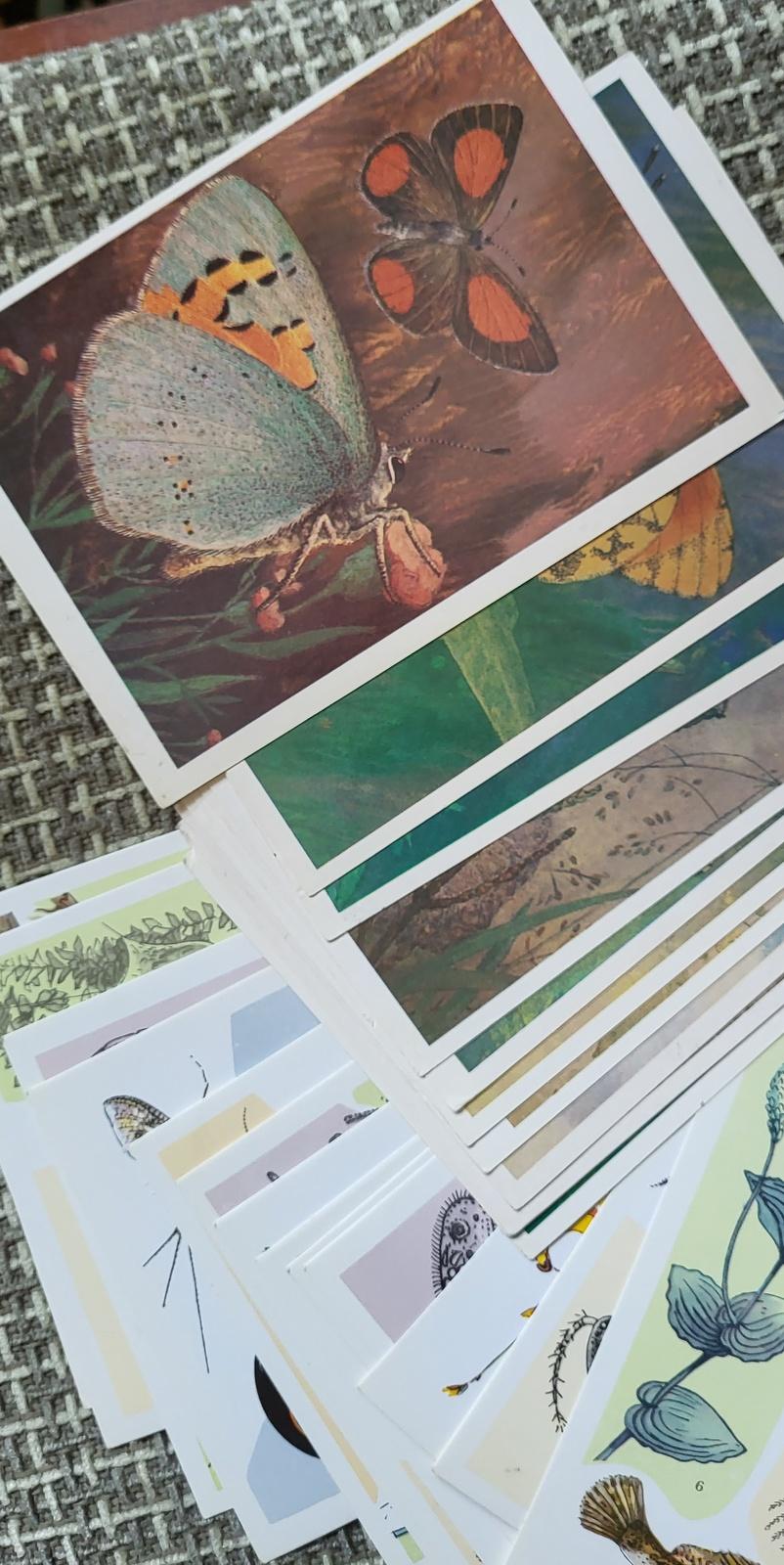 Papier Circa Vintage Ussr Postcards - 'by the Water' Collection, circa 1977 1j16 en vente