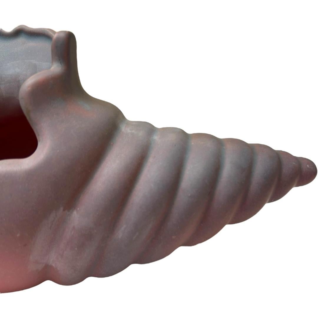 colorada shell