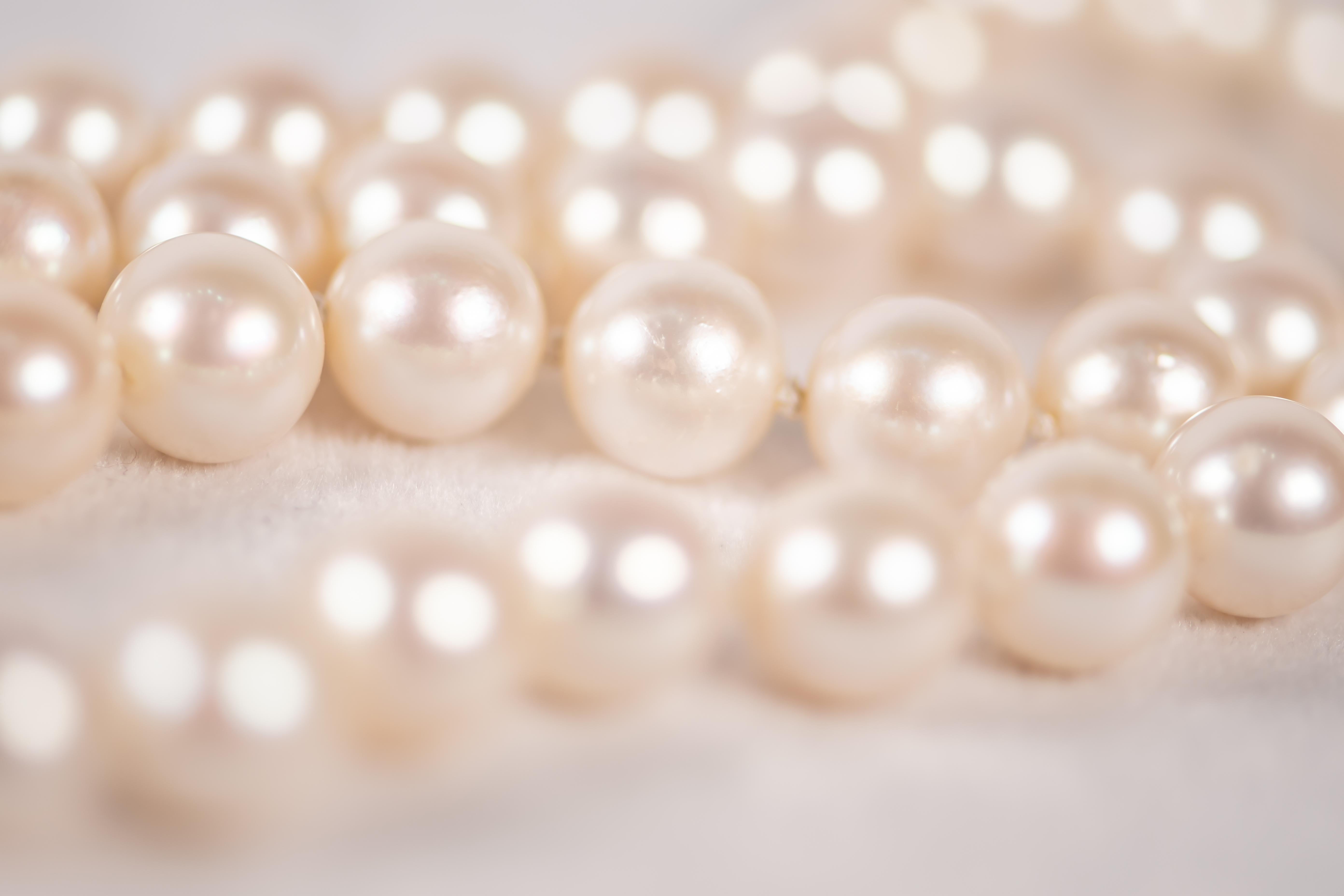 Van Cleef und Arpels Perlenkette aus Platin/Gold mit Rubin- und Diamantverschluss im Angebot 1