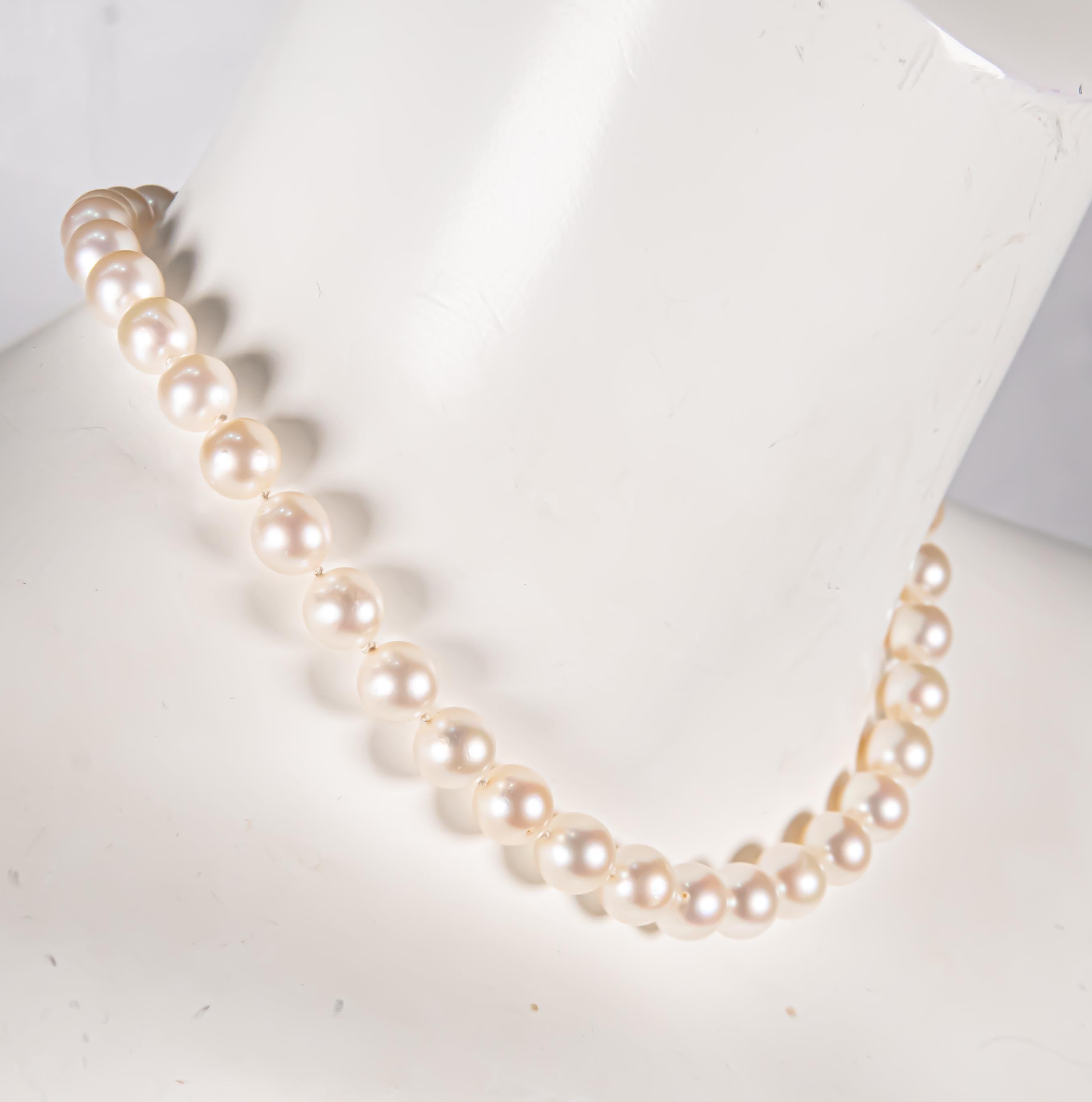 Van Cleef und Arpels Perlenkette aus Platin/Gold mit Rubin- und Diamantverschluss im Angebot 2