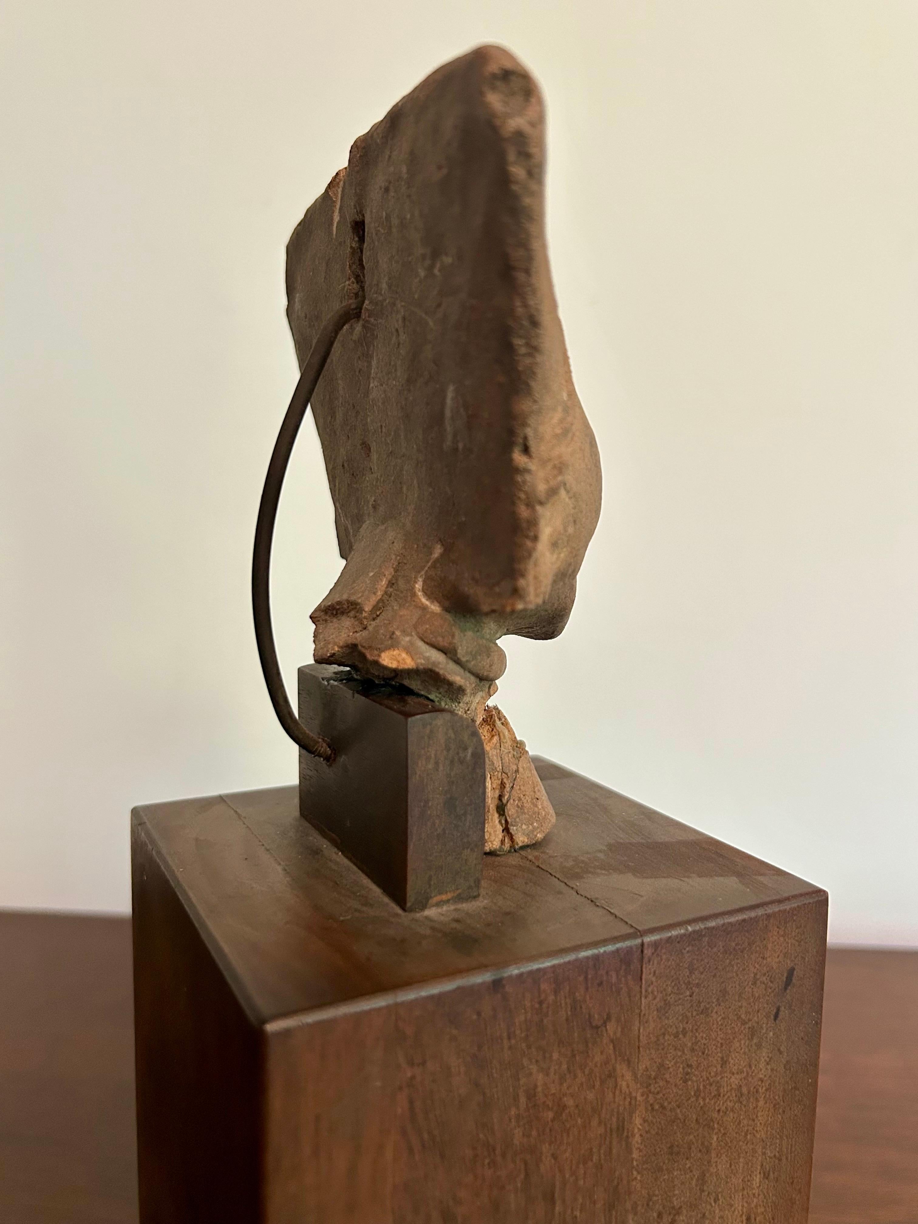 Vintage Veracruz Figur Kopf auf Wood Base Pre-Columbian Kunst (Präkolumbisch) im Angebot