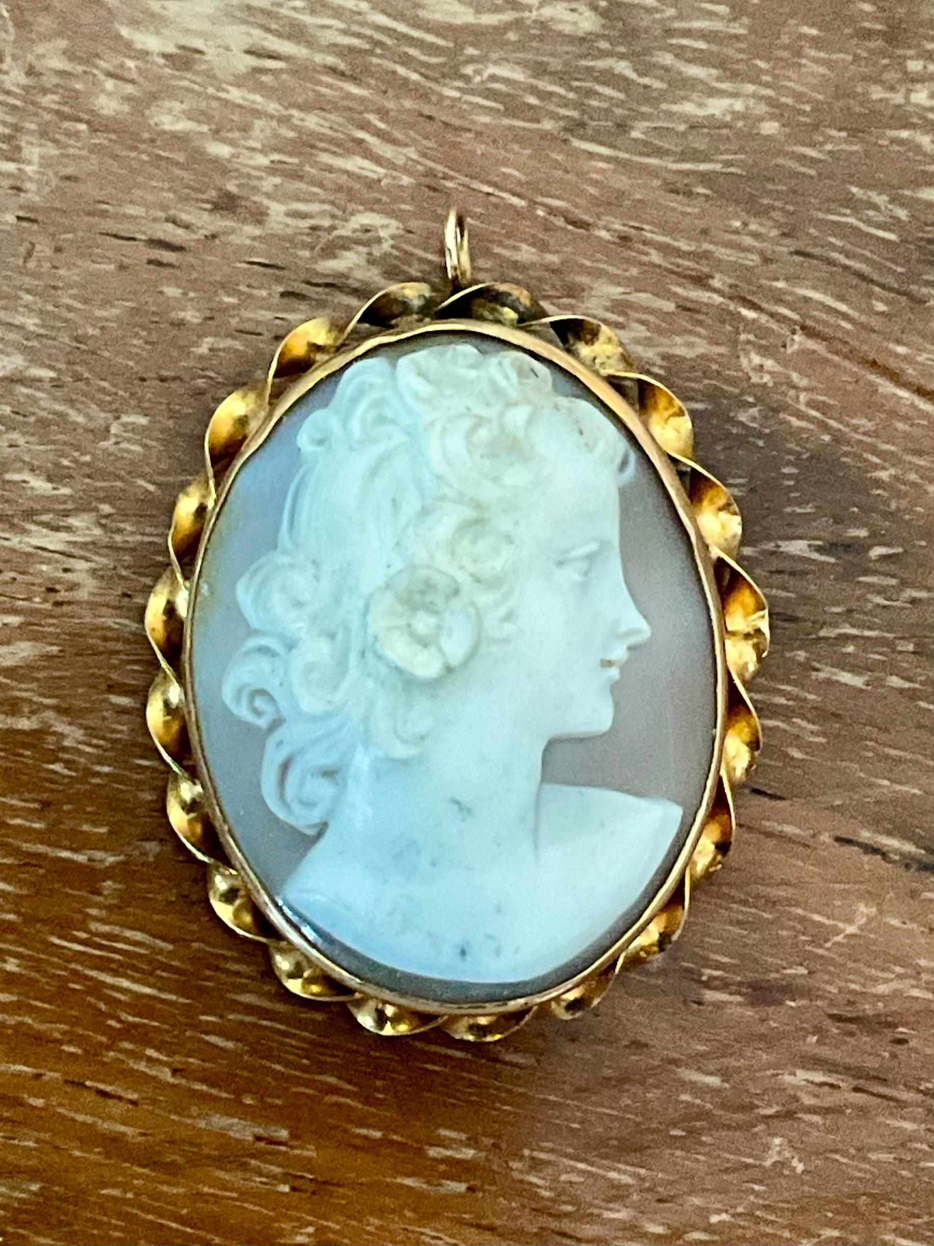 Elegia la bellezza senza tempo con questo ciondolo cammeo vittoriano vintage, un grazioso tributo all'eleganza del XIX secolo. Caratterizzato da un profilo finemente intagliato di una donna classica in morbide tonalità avorio su uno sfondo caldo di