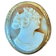 Vintage Victorian Carved Shell Cameo Brooch