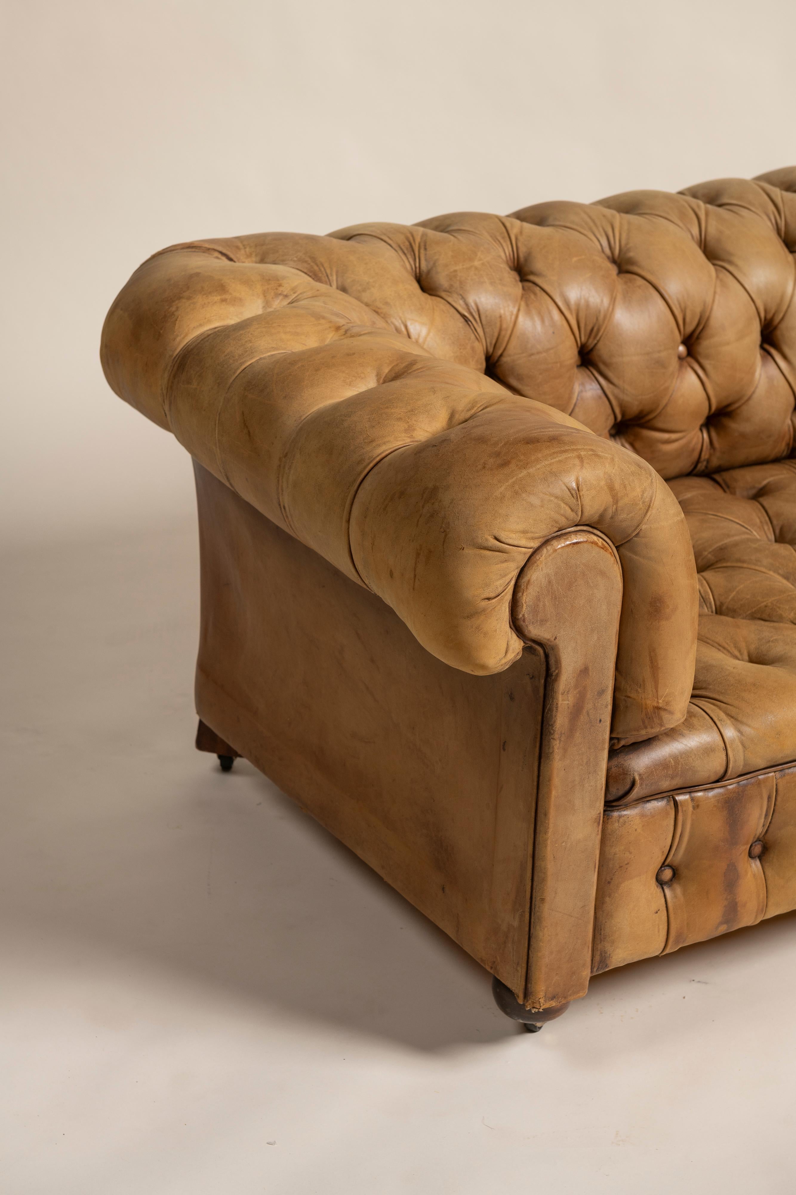 XX secolo Divano Chesterfield vittoriano d'epoca in pelle color tabacco, 1900 in vendita
