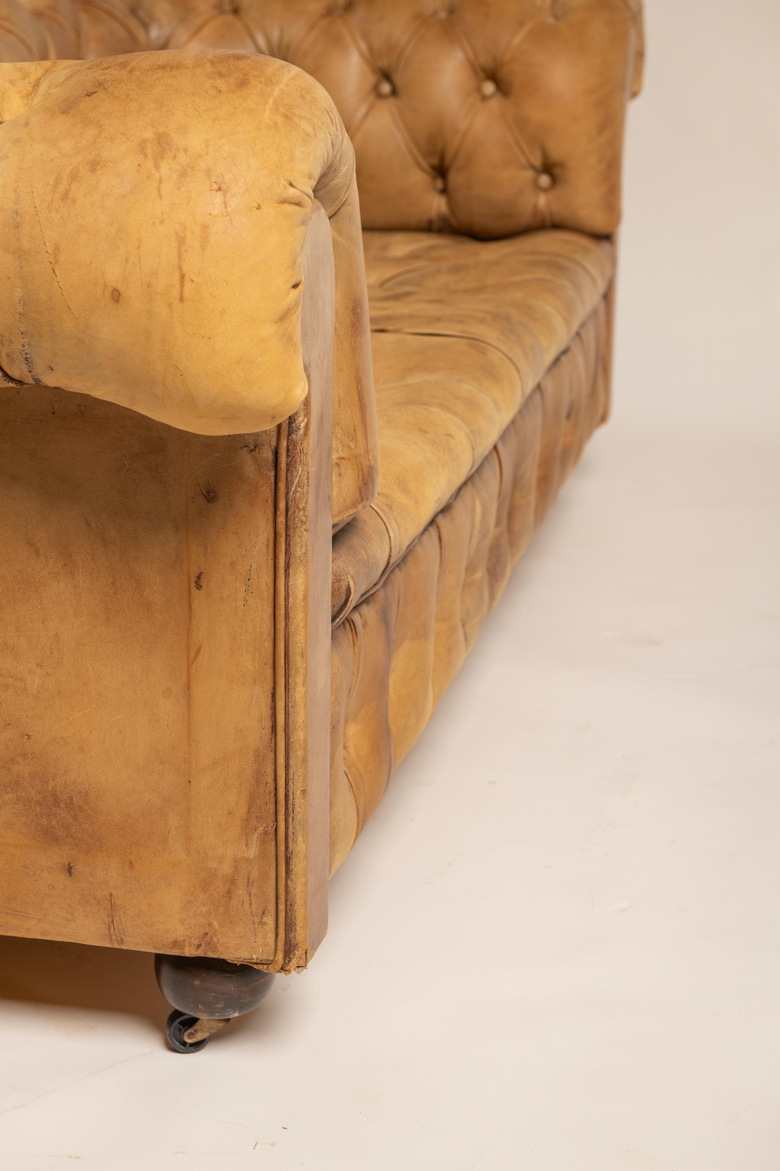 Divano Chesterfield vittoriano d'epoca in pelle color tabacco, 1900 in vendita 1