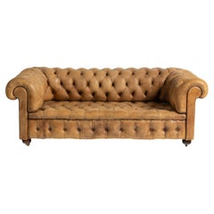 Vintage Victorian Chesterfield Sofa in Tobacco Leather, 1900s