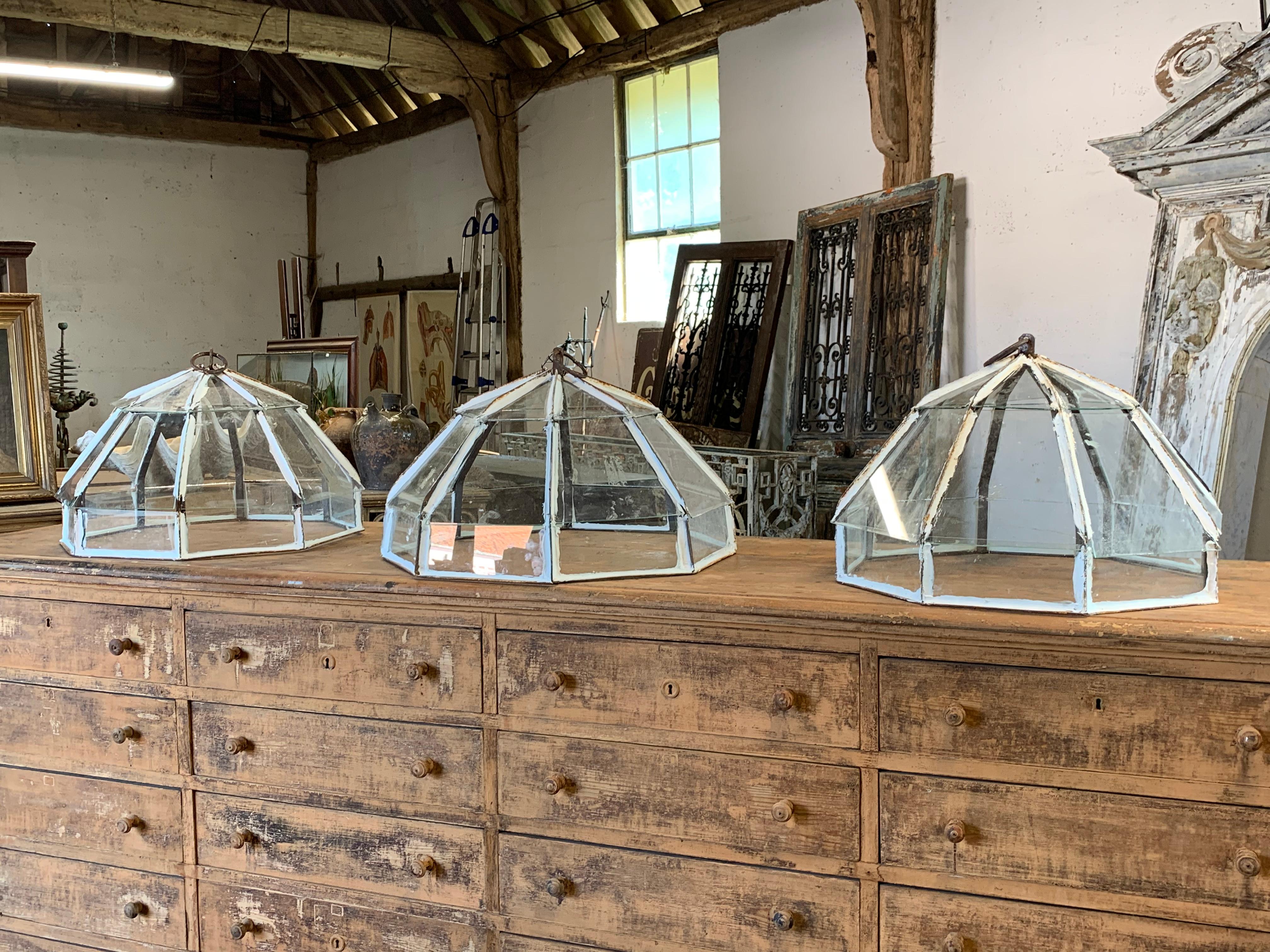 Vintage Victorian Style Garten Cloches (Handgefertigt) im Angebot