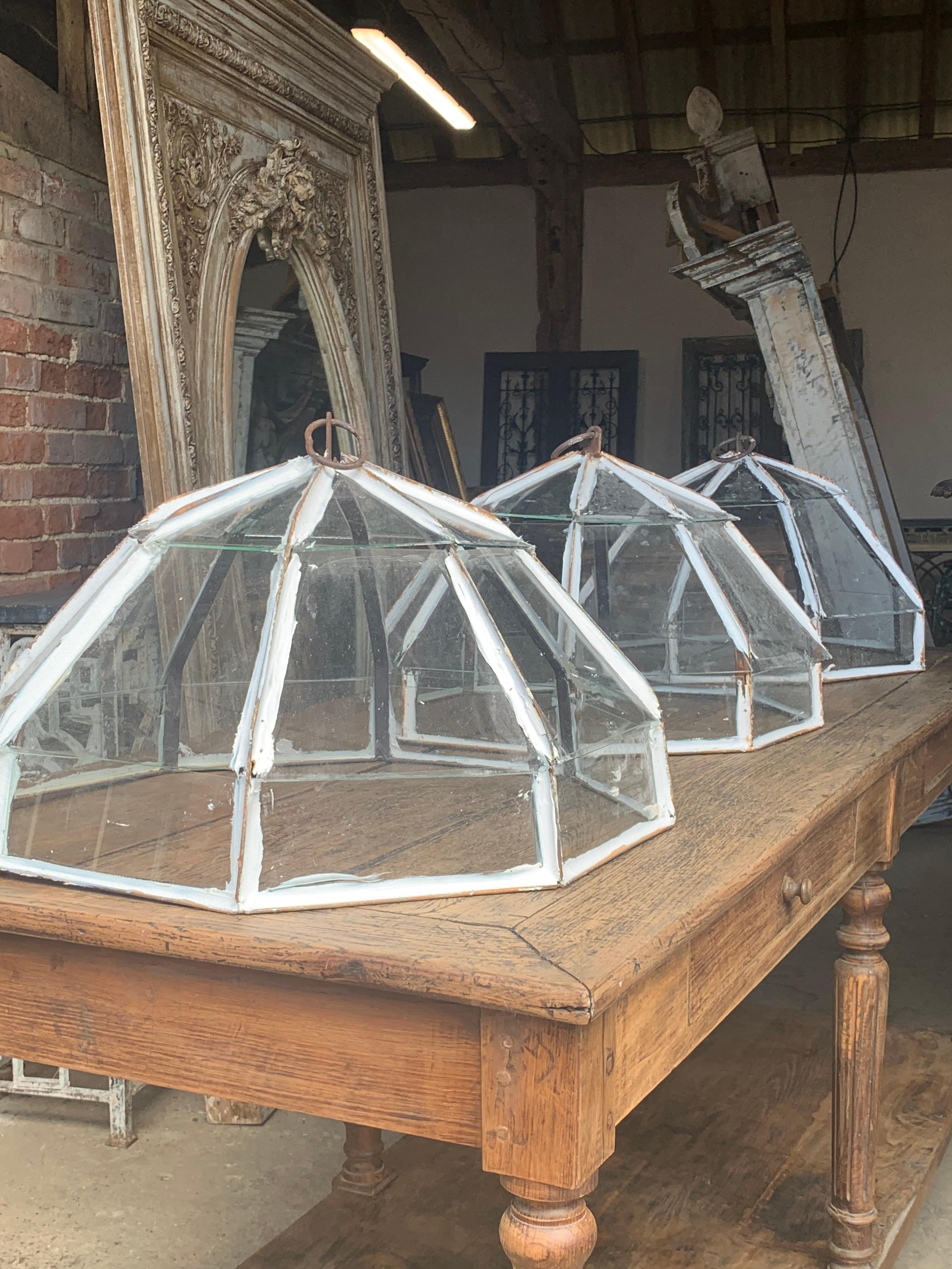 Vintage Victorian Style Garten Cloches im Zustand „Gut“ im Angebot in Ongar, GB