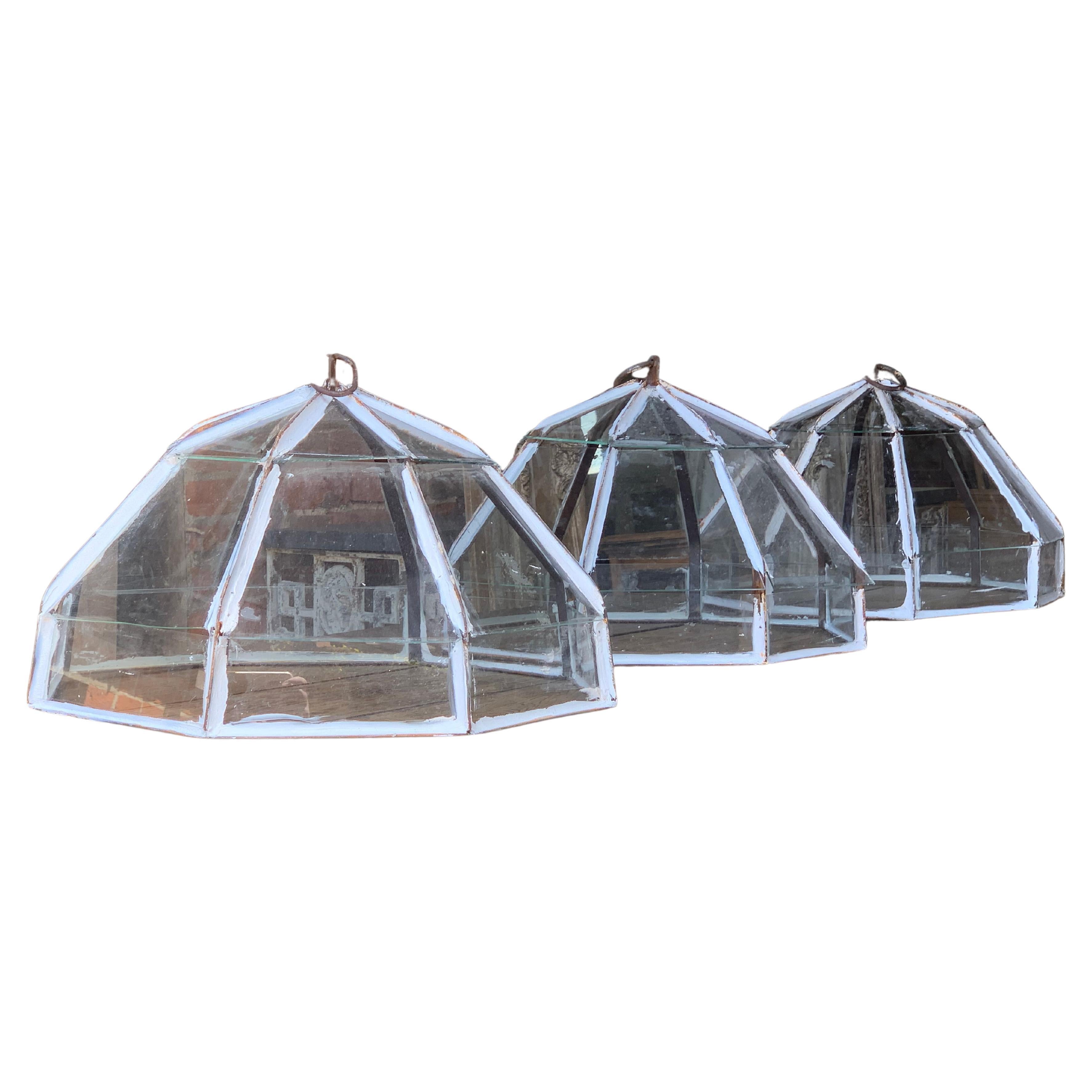 Vintage Victorian Style Garden Cloches