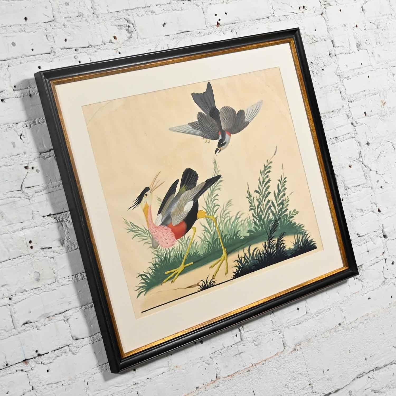 Vintage Vittorio Raineri Authentic Signed Watercolor Painting Exotic Birds, 1836 4