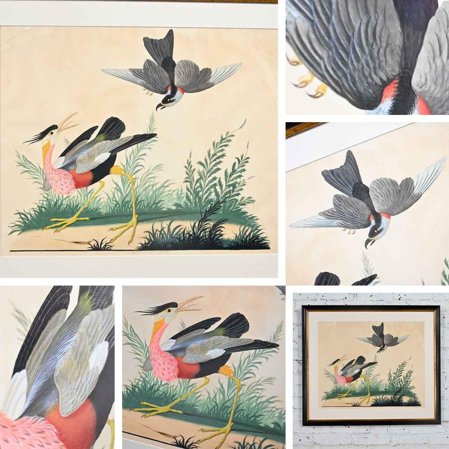 Vintage Vittorio Raineri Authentic Signed Watercolor Painting Exotic Birds, 1836 6