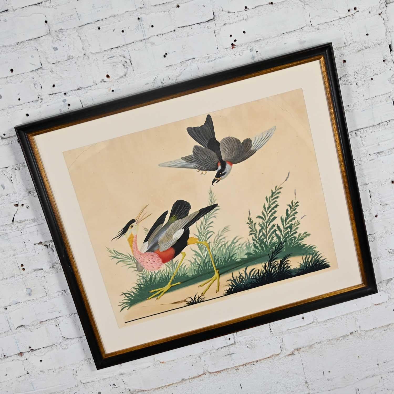 Vintage Vittorio Raineri Authentic Signed Watercolor Painting Exotic Birds, 1836 9