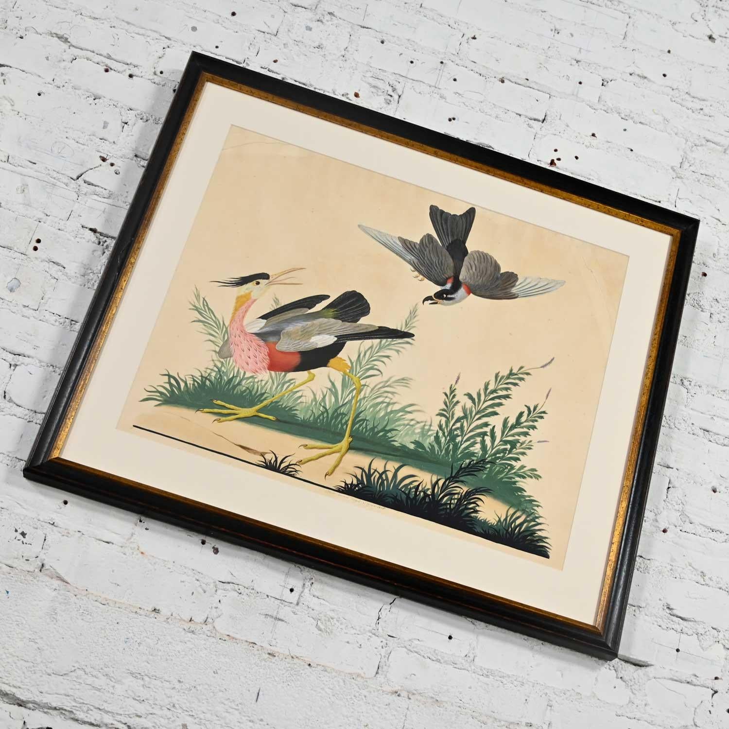 Vintage Vittorio Raineri Authentic Signed Watercolor Painting Exotic Birds, 1836 10