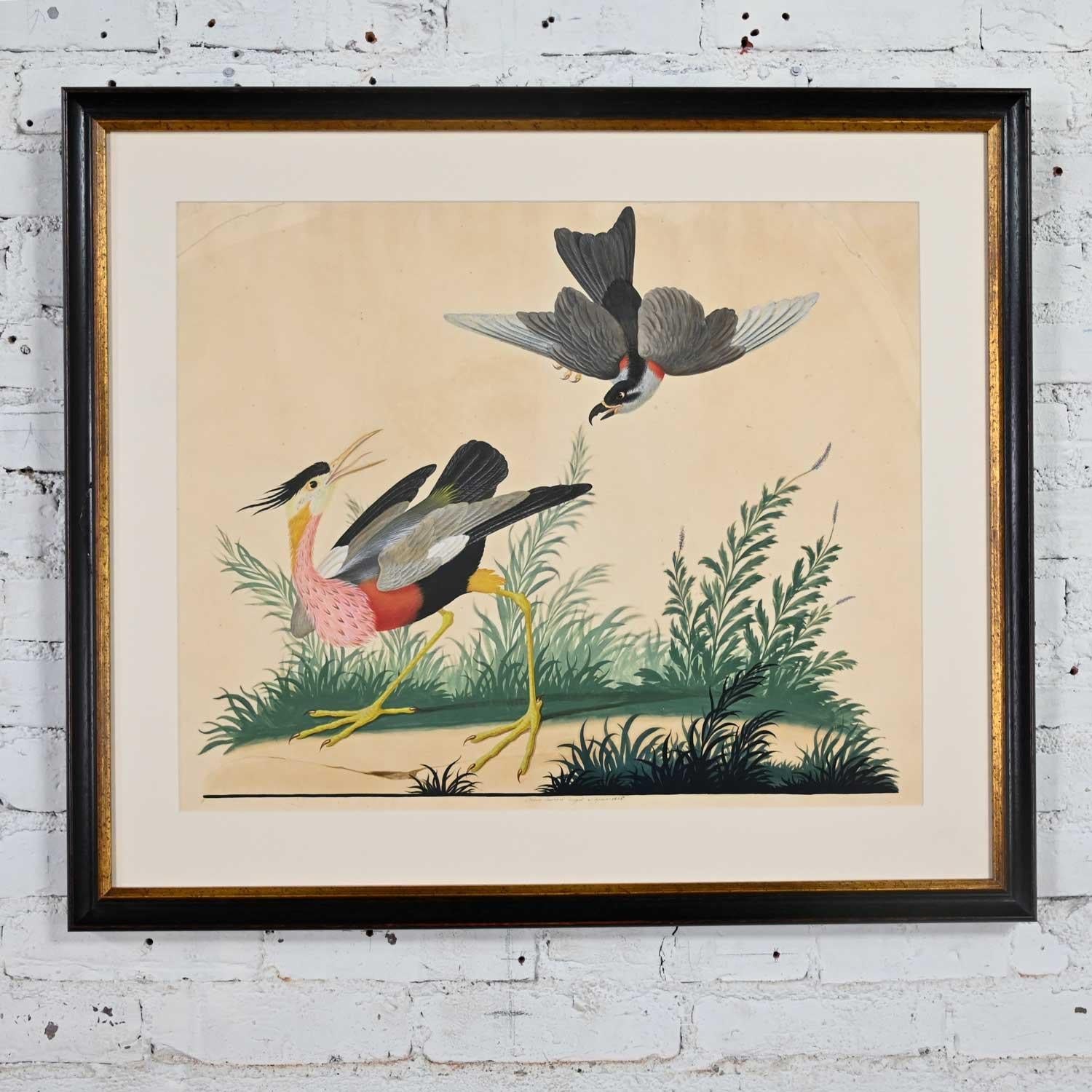 Wonderful vintage authentic signed hand finished watercolor painting of exotic birds by Vittorio Raineri. Professionally framed in a black museum glass frame with UV protection and gold trim. Beautiful condition, keeping in mind that this is vintage