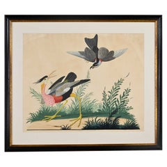 Vintage Vittorio Raineri Authentic Signed Watercolor Painting Exotic Birds, 1836