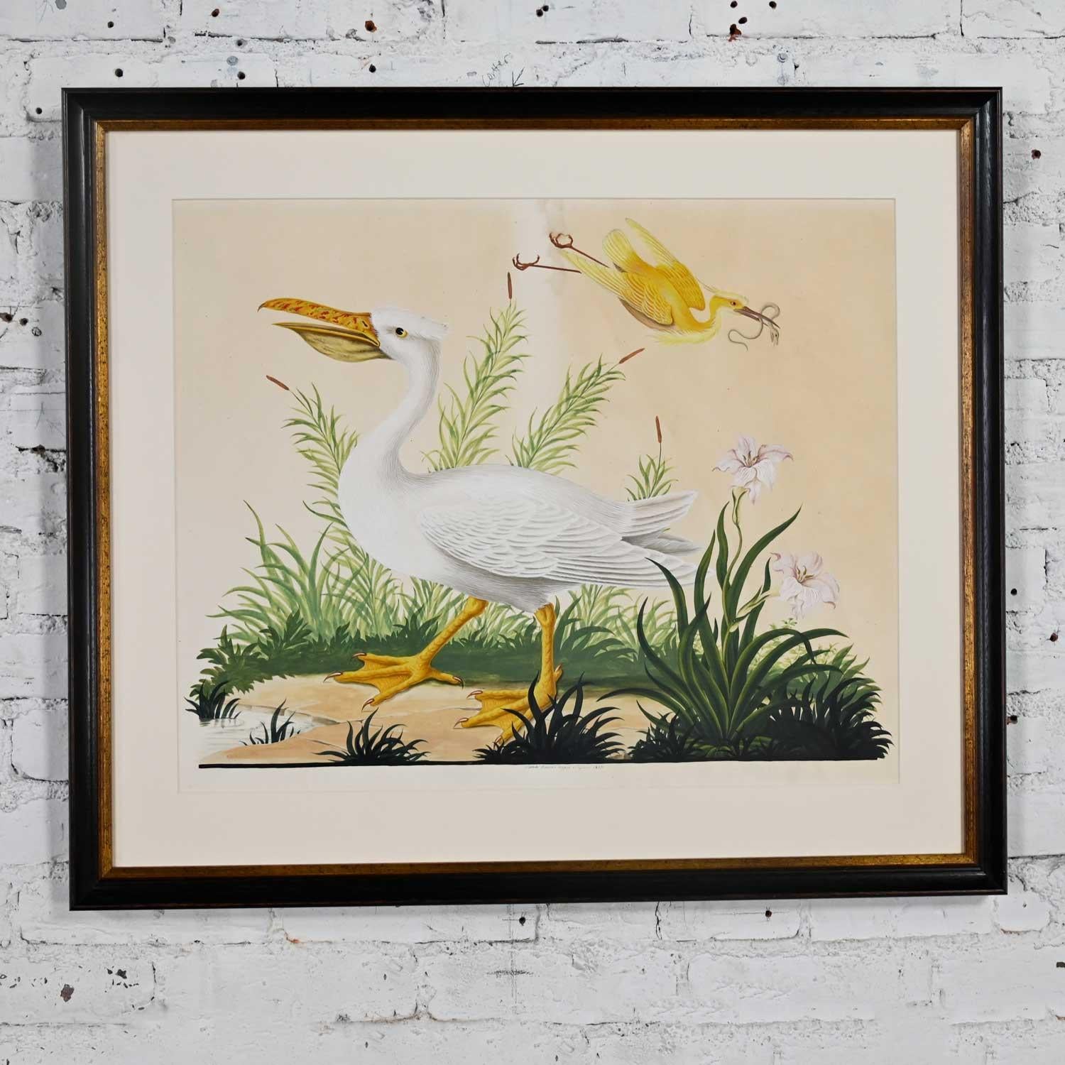 Fantastic vintage Vittorio Raineri watercolor painting of a Pelican & an Egret signed and dated 1837. Professionally framed in a black museum glass frame with UV protection and gold trim. Beautiful condition, keeping in mind that this is vintage and