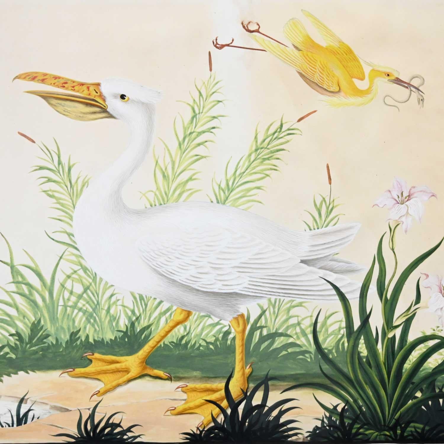 Wood Vintage Vittorio Raineri Watercolor Painting of Pelican & Egret, 1837