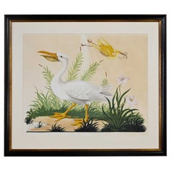 Vintage Vittorio Raineri Aquarell Gemälde von Pelikan & Reiher:: 1837