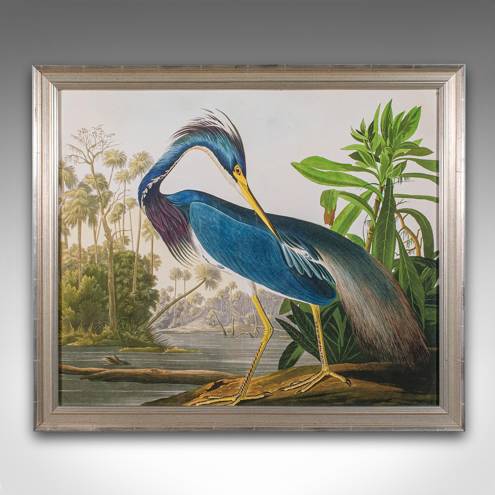 
This is a vintage wading bird print. An English, framed nature study, dating to the late 20th century.

Charming ornithology study of a North American heron
Displays a desirable aged patina throughout
Set within a tasteful silvered frame
Fine print