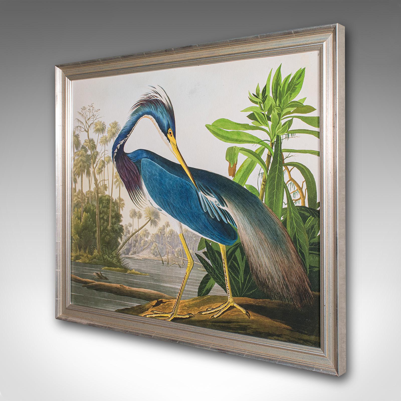 Modern Vintage Wading Bird Print, English, Framed Nature Study, Wildlife Art, Heron