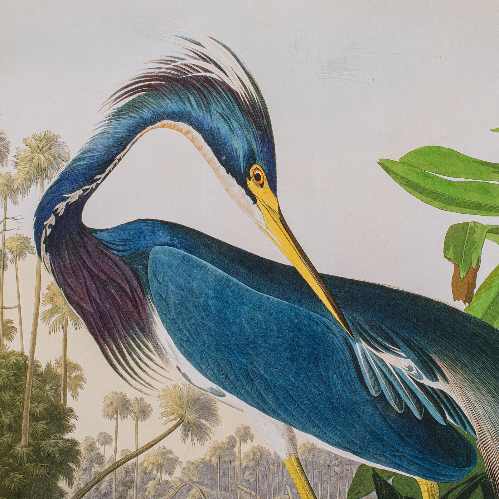 Paper Vintage Wading Bird Print, English, Framed Nature Study, Wildlife Art, Heron