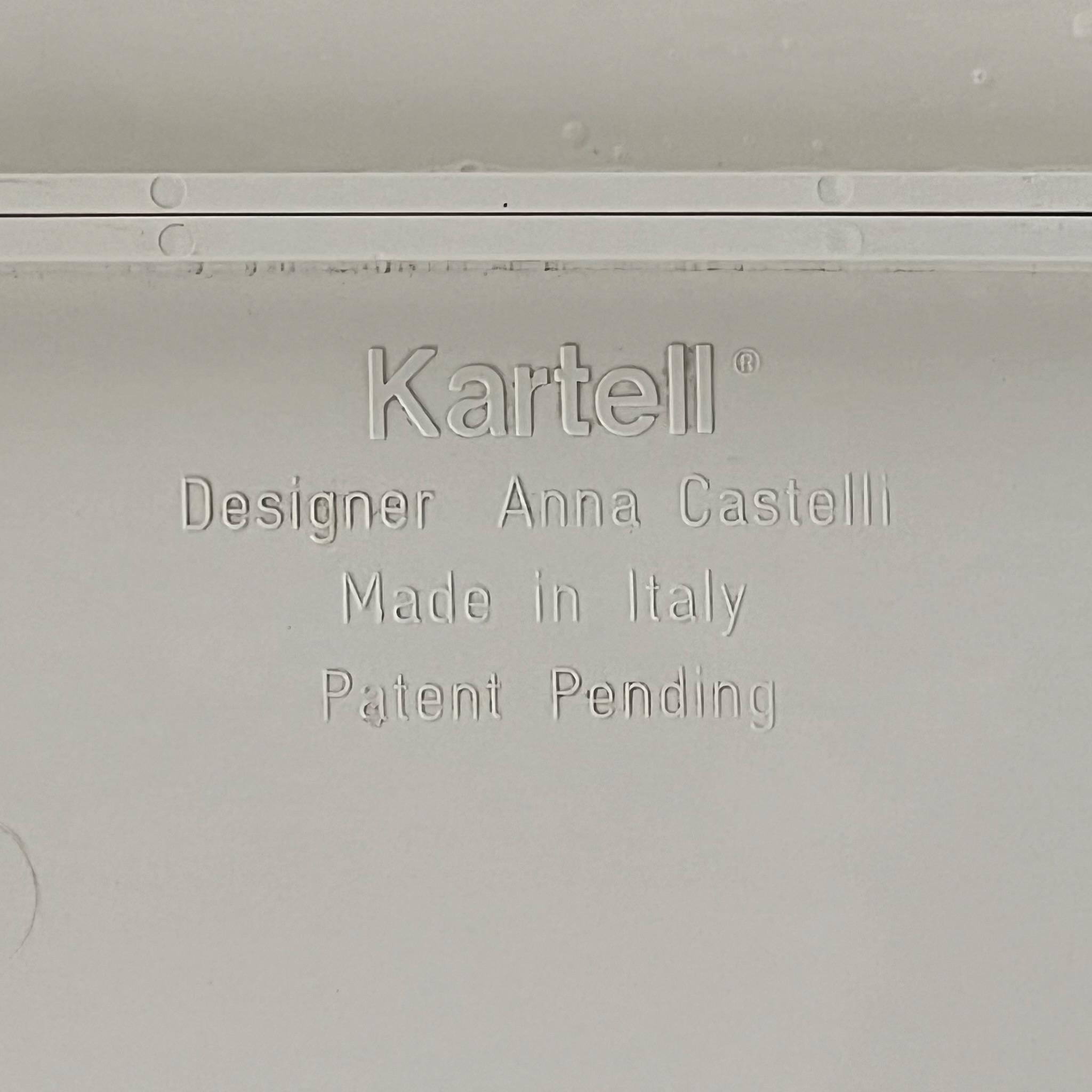 Vintage-Wandspiegel von Anna Castelli Ferrieri für Kartell – 1960er Jahre im Angebot 3