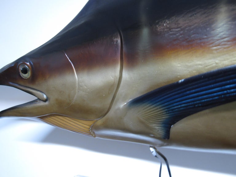 Vintage Wall Mount Swordfish at 1stDibs swordfish wall mount, mounted swordfish for sale