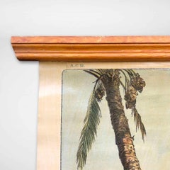 Vintage Wall Poster Date Palms, Tropics