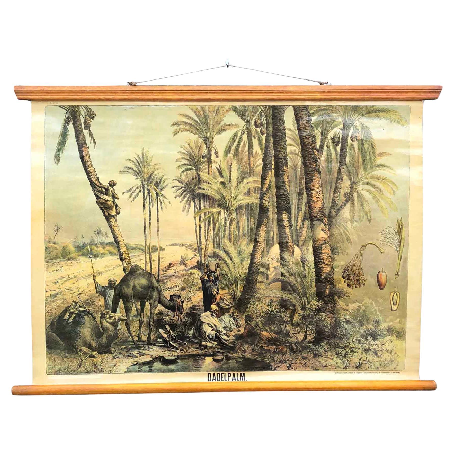 Vintage Wall Poster Date Palms, Tropics For Sale