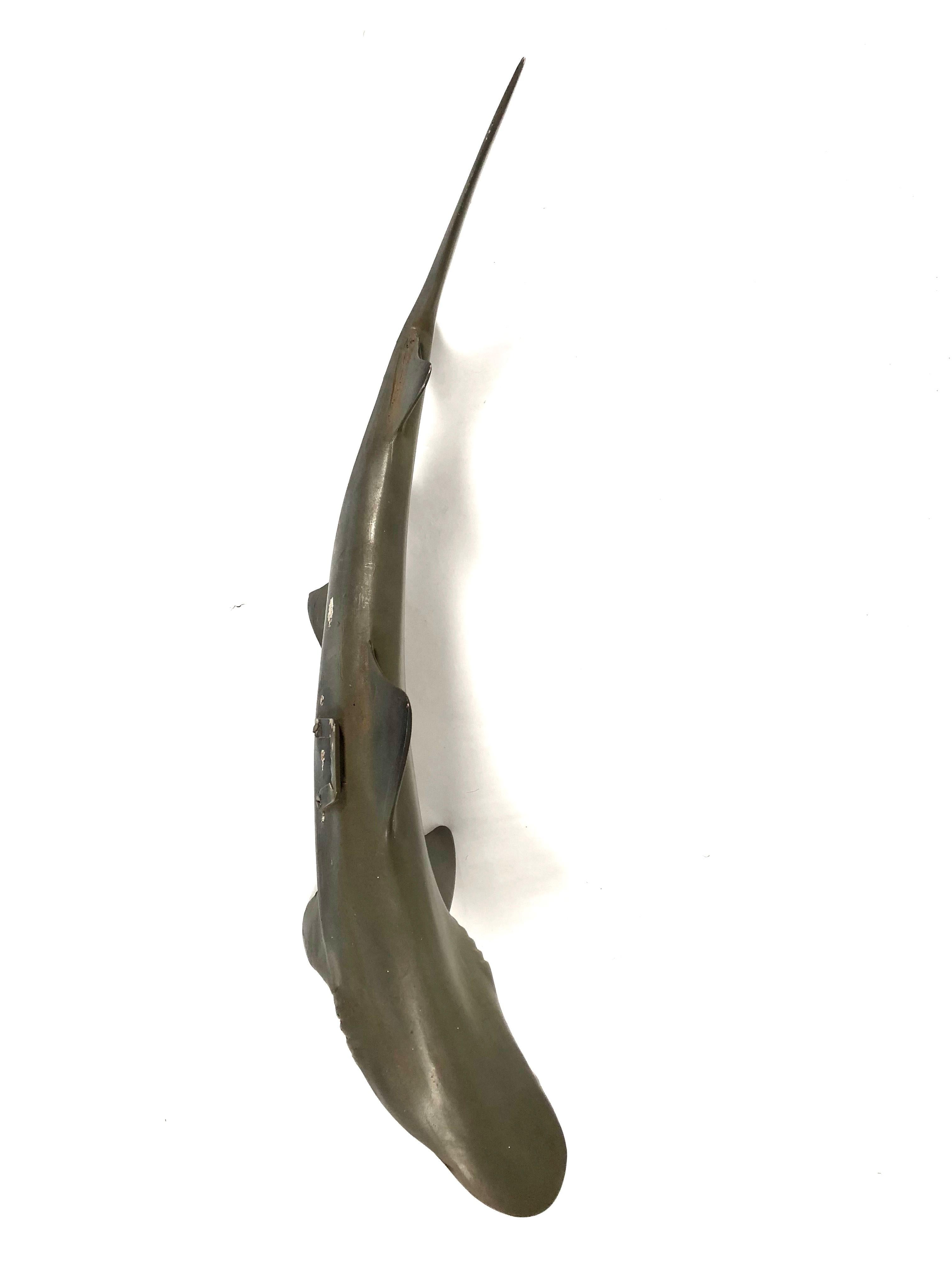 Vintage Wall Sculpture or Tabletop Model of a Sand Tiger Shark 1