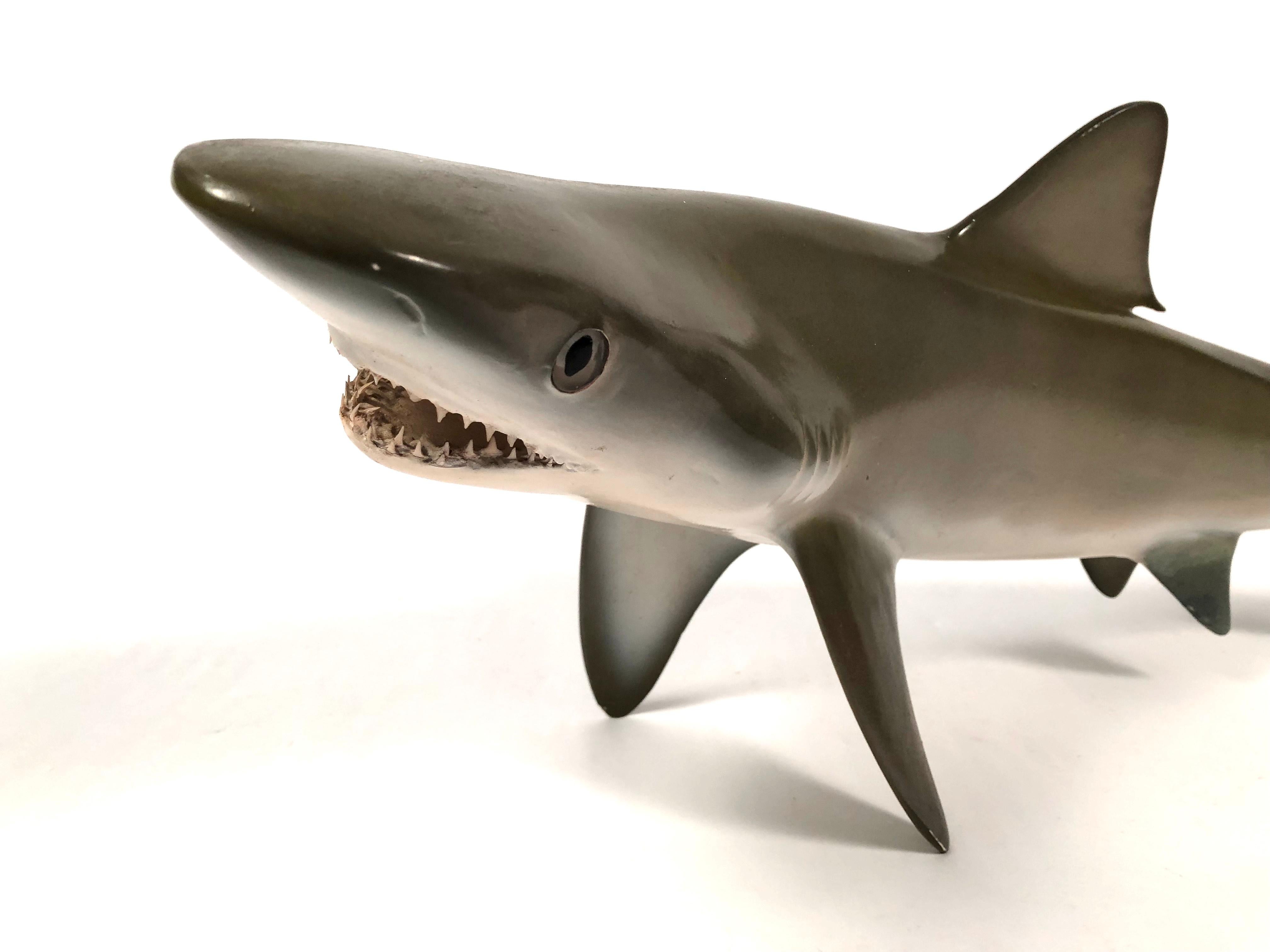 A vintage, realistic model of a sand tiger shark in painted wood with glass eyes and sharp teeth, which may be a wall-mounted sculpture with the bracket on its back or displayed on a table, likely from an aquarium or other display of marine