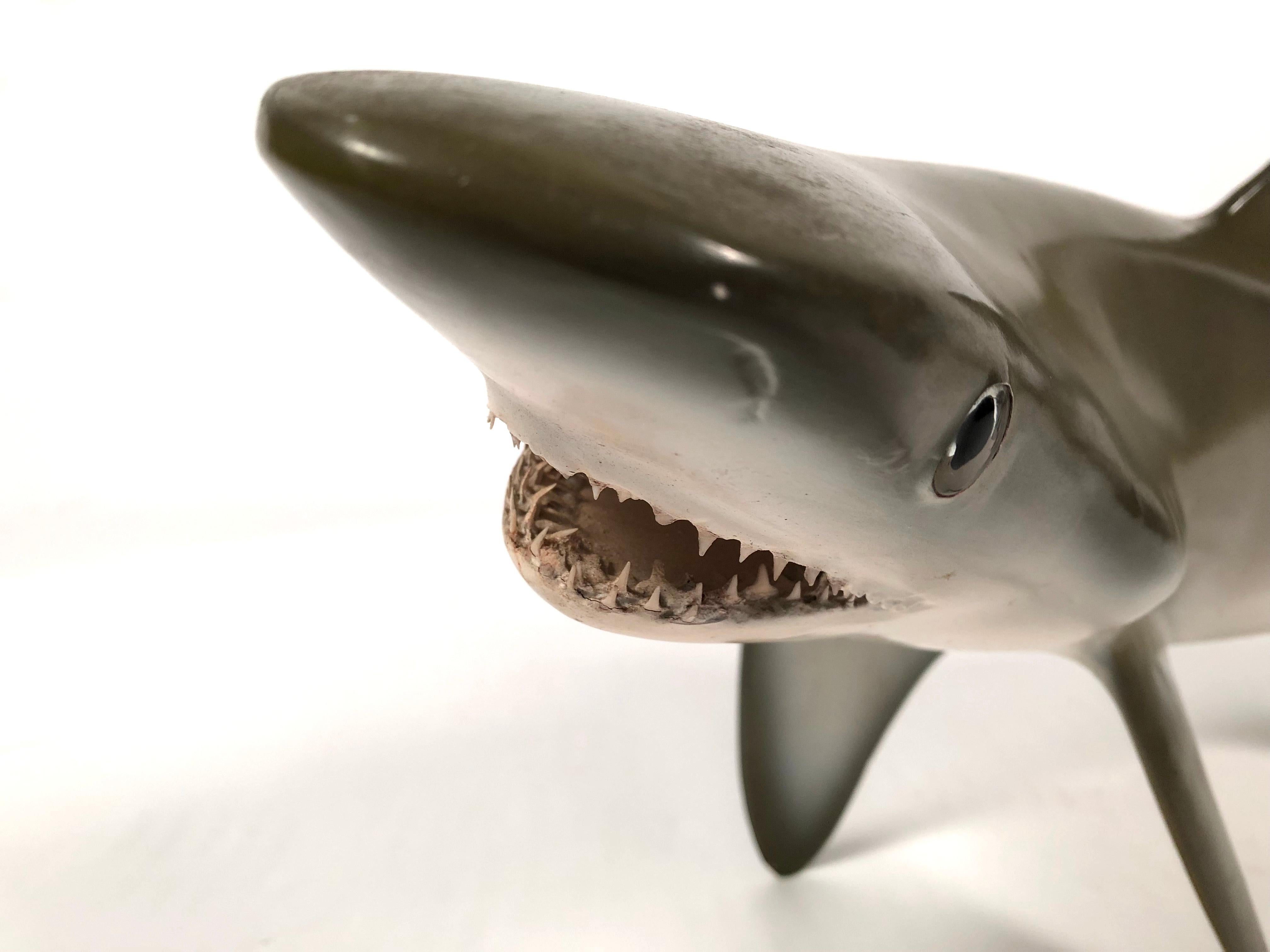sand tiger shark toy