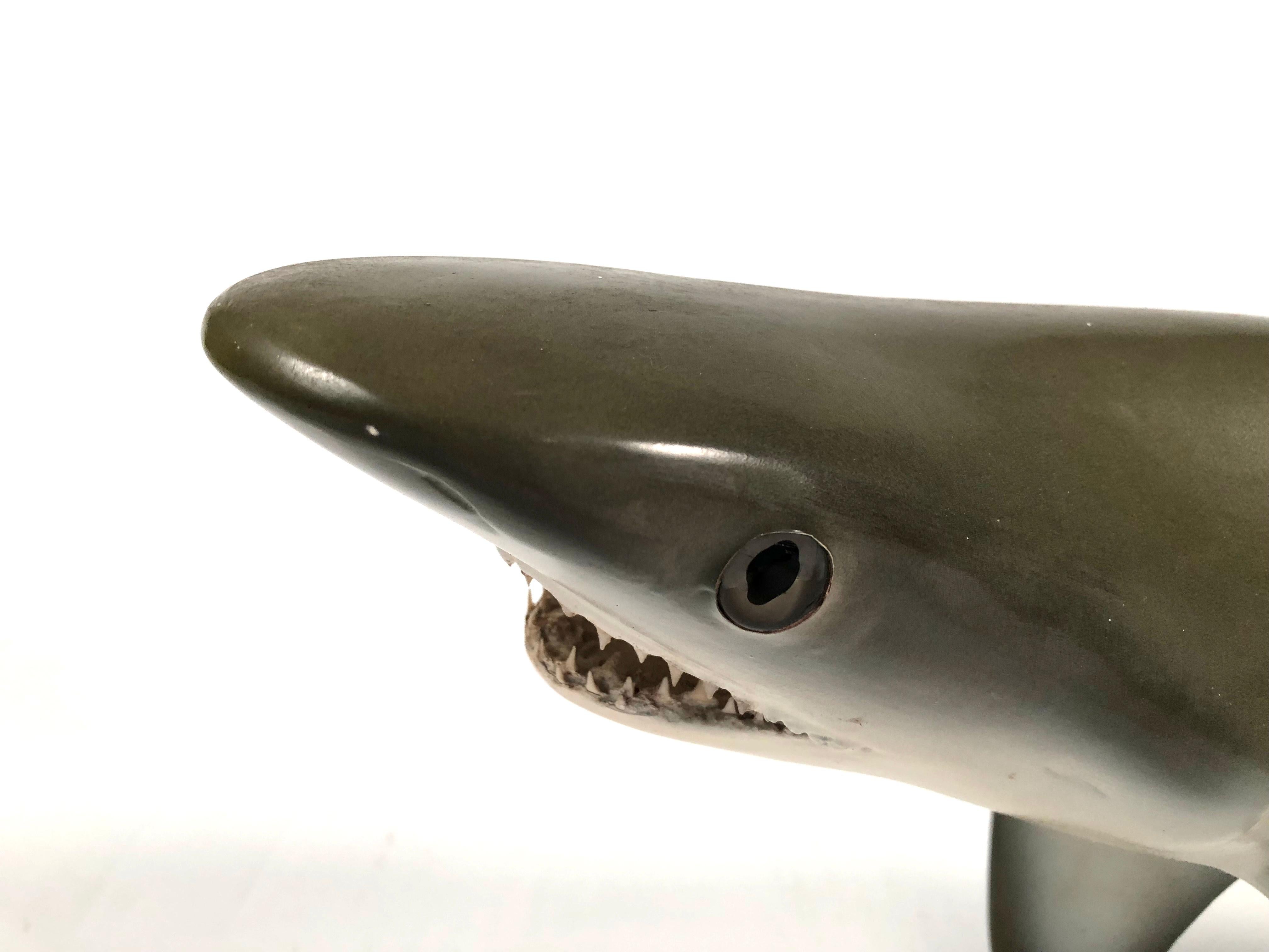 American Vintage Wall Sculpture or Tabletop Model of a Sand Tiger Shark