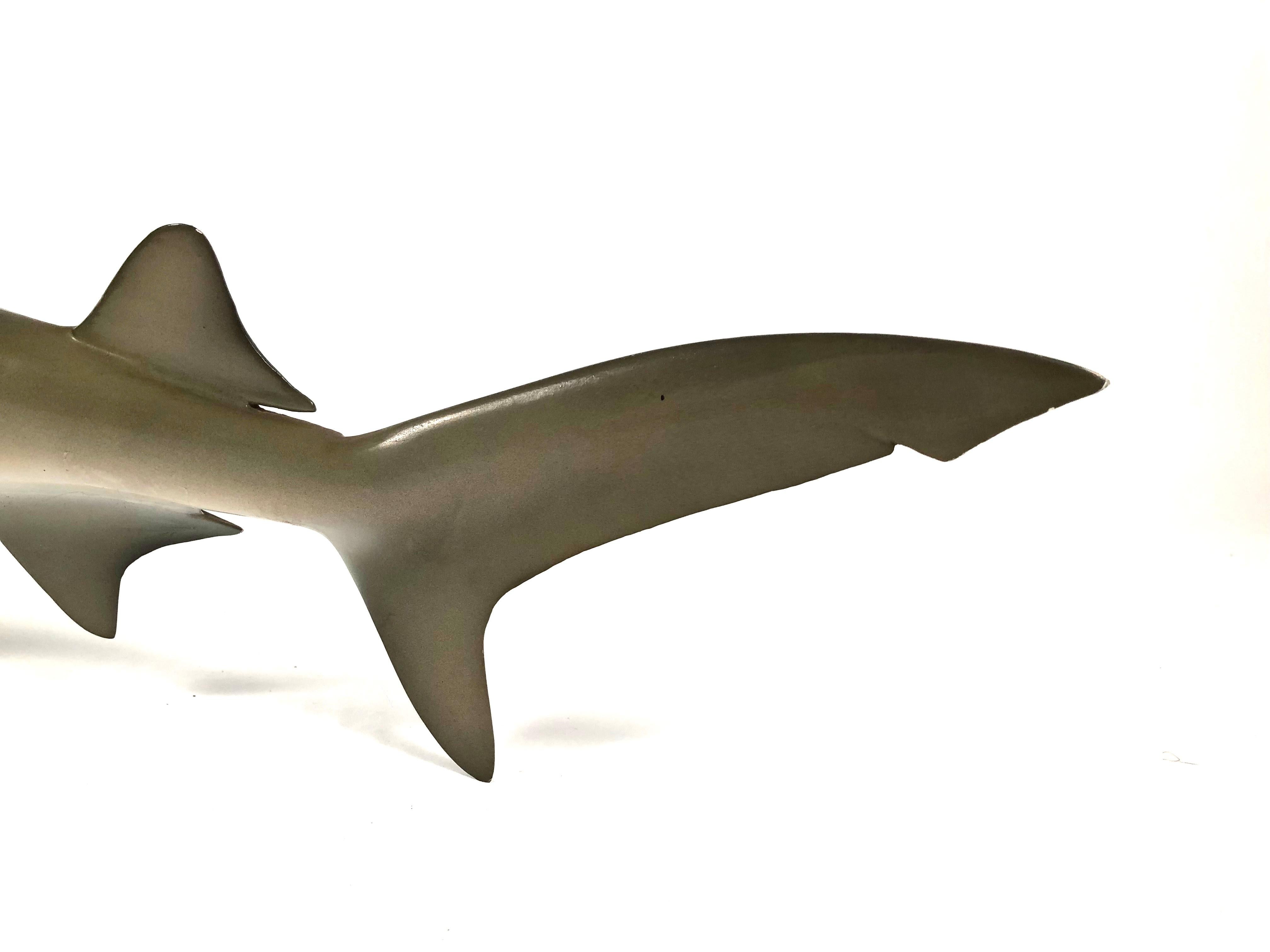 Vintage Wall Sculpture or Tabletop Model of a Sand Tiger Shark In Good Condition In Essex, MA