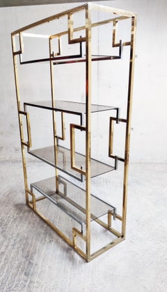 Vintage Wall Unit by Willy Rizzo, 1970s
