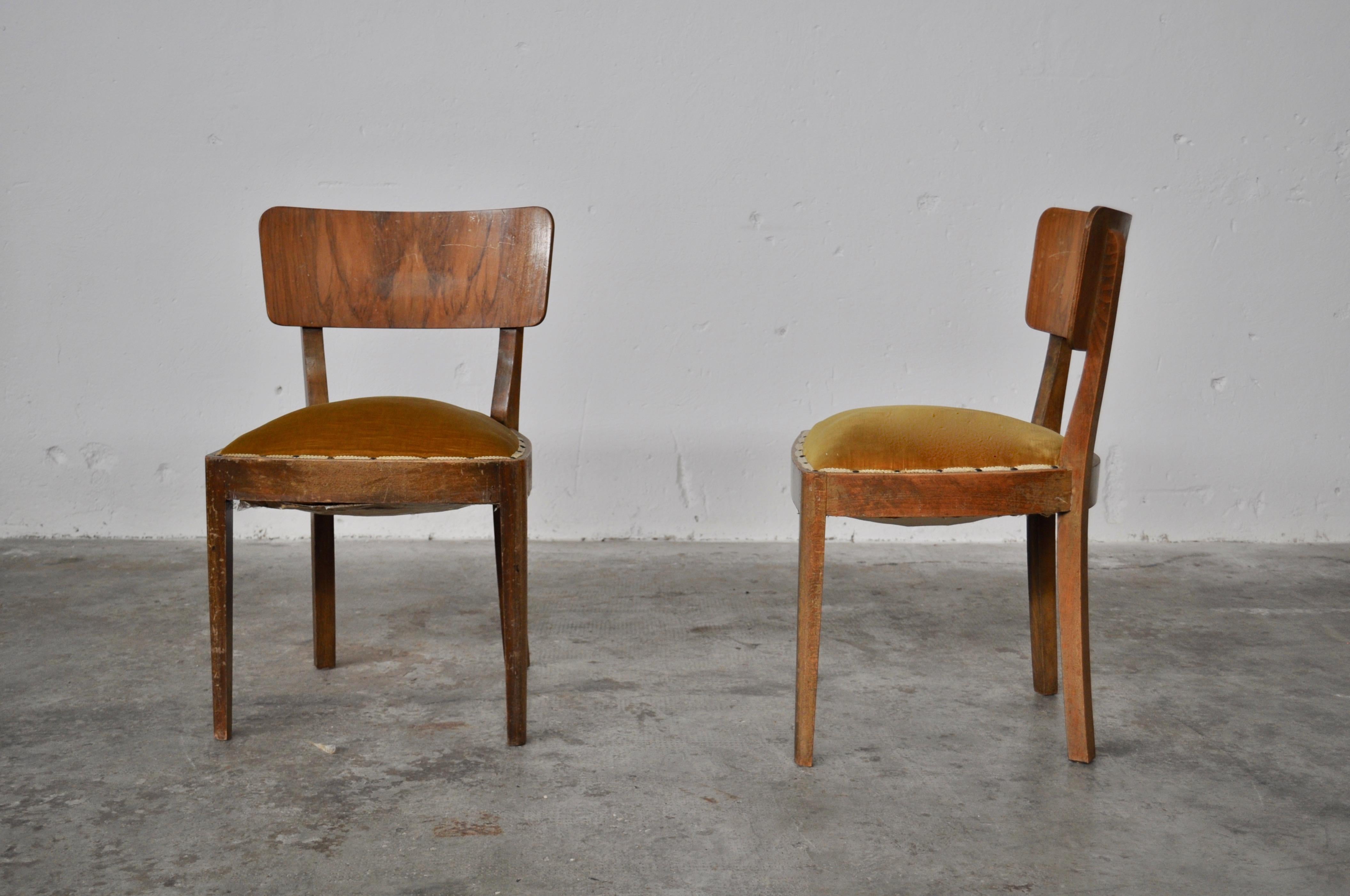 Vintage Walnut Chairs with Studs & Straps and Springs in Velvet, Italy, 1920s, Set of 2