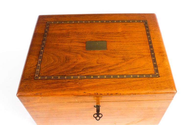 Vintage Walnut Cigar Humidor, 20th Century at 1stDibs