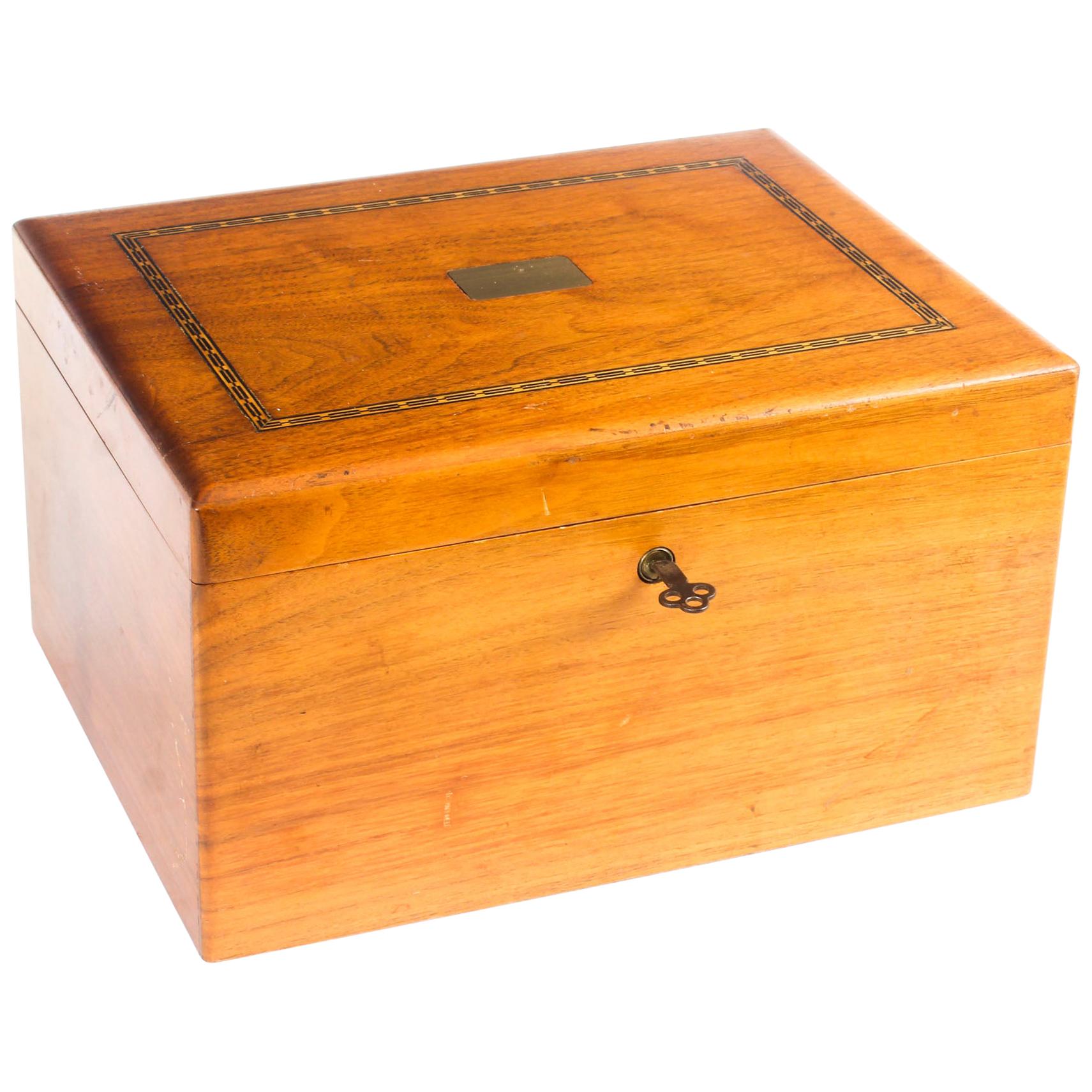 Vintage Walnut Cigar Humidor, 20th Century at 1stDibs