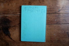 Vintage Walt Disney Illustrated Children’s Book Hiawatha le petit indien, 2C55