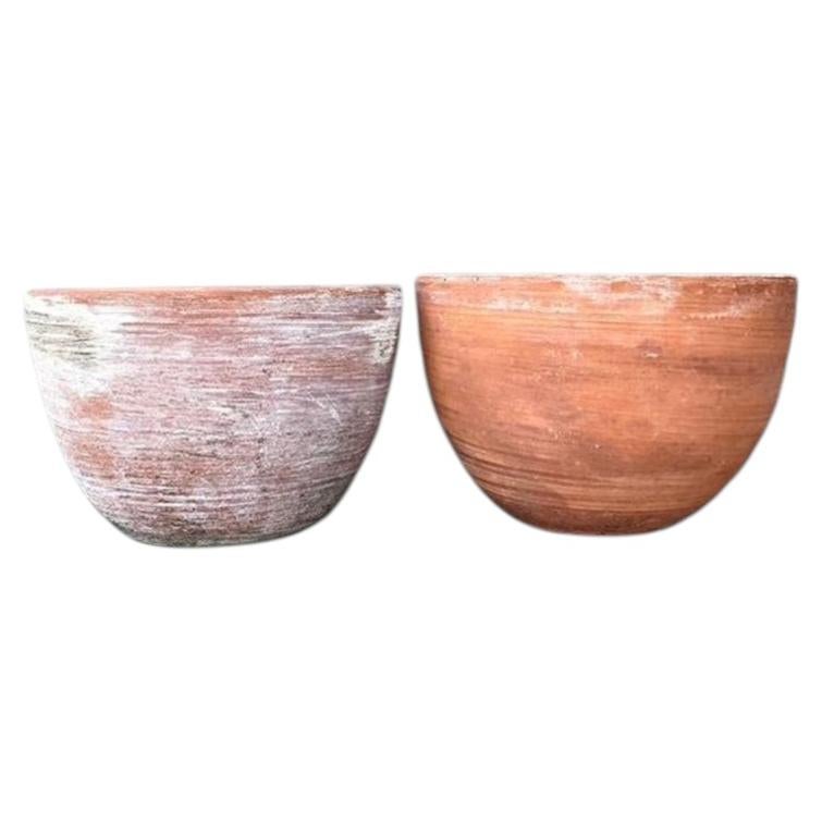 Vintage Washed Terracotta Planter Bowls - Set of 2