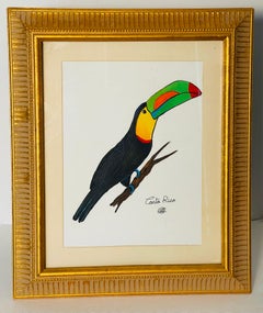 Acuarela vintage de un tucán, firmada y enmarcada en oro
