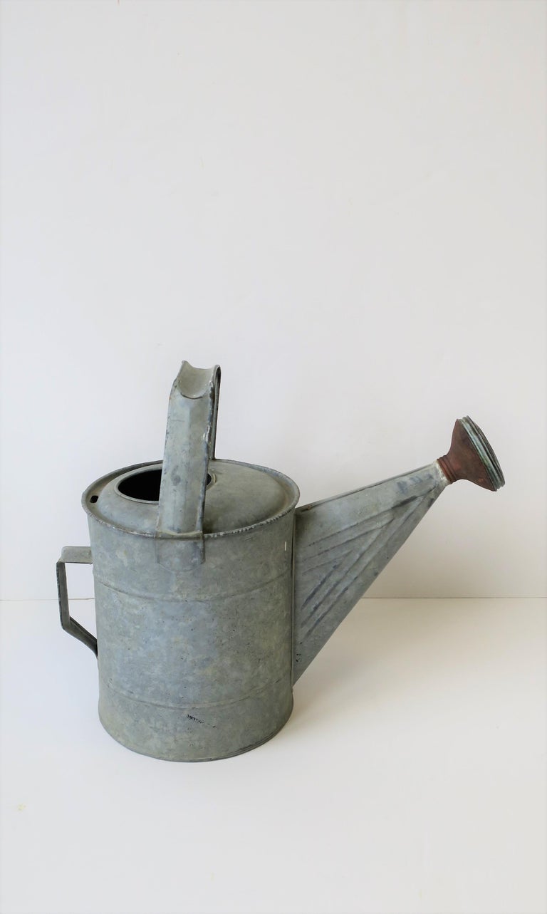 Vintage Watering Can at 1stDibs