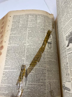 Vintage Webster’s New International Dictionary, First Edition (1929) Unabridged