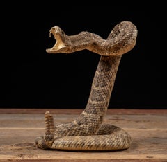 Vintage Western Diamondback Rattlesnake Taxidermy Display Mount